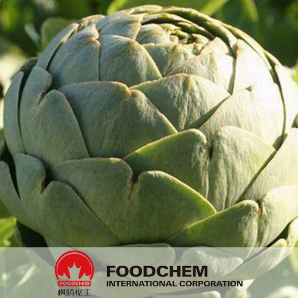 Artichoke Extract